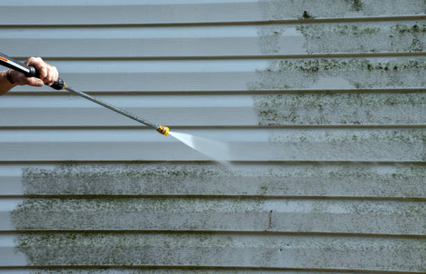 Best Spring Cleaning  in Woodburn, VA